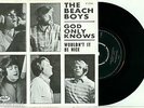 the BEACH BOYS 