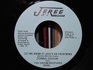 Rare MODERN SOUL 45 Private Press Donna Groom The Groom Brothers Jeree Records