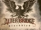 ALTER BRIDGE BLACKBIRD 180GM LP VINYL NEW ETCHED D SIDE