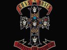 Guns N Roses - Appetite For Destruction 180g vinyl LP NEW/SEALED