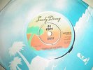 Sandy Denny Candle In The Wind UK 7