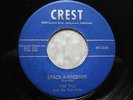 TOM TALL & HIS TOM KATS 45 Stack-A-Records CREST rare r&b rockabilly HEAR