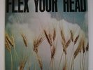 Flex Your Head rare 2nd PRESSING Absolute MINT Dischord