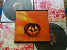 Sonic Youth Sound Experience Walls Have Ears 1986 UK Original 2LP Pumpkin cover