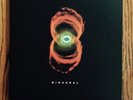 Pearl Jam Binaural Double LP Original 2000 Pressing E2 63665
