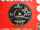 THE TORNADOS*POP-ART GOES MOZART*TOO MUCH IN LOVE*RARE*'66*COLUMBIA*RGM*MEEK*EX+