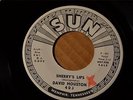 DAVID HOUSTON Sun 403 PROMO  MISS BROWN / SHERRY'S LIPS -Listen