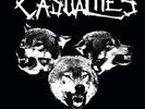 THE CASUALTIES-WE ARE ALL WE HAVE-VINYL LP SIDE ONE D NEW