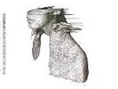 Coldplay A Rush of Blood to the Head New Vinyl LP