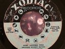 RUBY ANDREWS Just Loving You / The Love I Need 45 Zodiac Rare Northern Soul