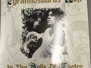 T REX  MARC BOLAN - RARE VINYL LP IN THE HALLS OF FAEIRE