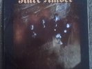 RARE AMBER self-titled UK Stereo LP 1969 Psych Blues