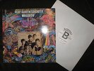 LP, Flat Earth Society - Waleeco, RI PSYCHO 17, Top Zustand, Rare Garage, PROMO