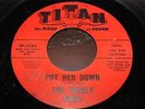 WOOLY ONES Put Her Down b/w Slings And Arrows 45 TITAN Garage Punk Unknowns COMP