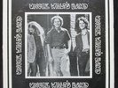 Uncle Walt's Band LP rare private Texas acoustic rural folk country blues HEAR