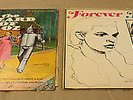 2 Judy Garland Vinyl Albums 1969 Original The Wizard of Oz Soundtrack & Forever