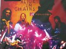 33T. 2 LP's      ALICE IN CHAINS      
