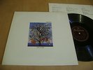 TALK TALK SPIRIT OF EDEN A-1-1-1 B-1-1-1  1ST UK ICL INNER