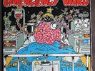 EMERGENCY WARD Australian Marijuana Party RARE 1979 PSYCH PROG 2LP PRIVATE PRESS