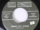Hear Northern Soul Garage 45 The Bristols - Where Am I Going / With A Girl Like