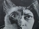 Persona ?– Som LP 1975 Obscure Brazilian Psychedelic Acid Experimental unplayed