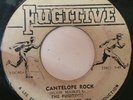 THE FUGITIVES FEATURING JOE JOE - cantelope rock b/w the lecture - FUGITIVE