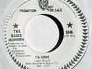 Rare Garage 45: The MAGIC MUSHROOM “I’m Gone” on Warner Brothers (Hear)