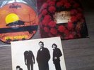 rattus norvegicus picture disc