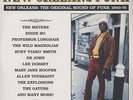 V.A. - New Orleans Funk volume 1 Vinyl EU 3LP
