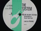 THE SYSTEM You're In My System remix 12