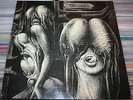 THE SHIVER WALPURGIS  MARIS MUSIK 20 501 GER 69 GOLDEN LABEL KRAUTROCK PROG ROCK