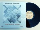ERWIN-JERRY: Some Wrote Things LP private SSW soft rock hear