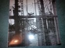 PAUL McCARTNEY CHAOS AND CREATION - VINYL LP NEW/UNPLAYED IMMACULATE EU PRESS