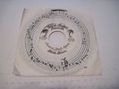 RARE FLORIDA 77 PRIVATE PRESS DIXIE DRIVE 45 