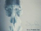 SIGUR ROS–IN A FROZEN SEA:A YEAR WITH SIGUR ROS-LIMITED EDITION 2007-7 LPs+BOOK
