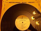 Rare 1960 Memphis Tn Mid South Fair Radio Station DJ Promo LP Ricky Nelson