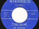 THE SHADOWS on Woodrich --IF YOU LOVE ME-- 60s garage rock 45 | RARE | LISTEN