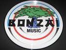 Picture Vinyl 003 Bonzai Cherrymoon Trax The House of House NEU absolute Rarität