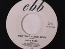 DAVE FORD & HOLLYWOOD FLAMES: Now That You've Gone / Hawaiian Dream 45 (dj) Voc