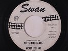 MICKEY LEE LANE: The Senior Class / The Zoo 45 (dj, xol) rare Soul