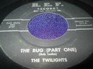 Rare Surf Rock 45: The Twilights on R.E.F. 111 - The Bug Part One & Two REF