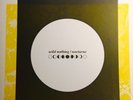 Wild Nothing Nocturne COLORED vinyl rare version Alternate Cover