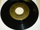 DAYTON GARAGE BAND 45 RPM RECORD - THE BITTERVETCH - DIXIE 804M-0081