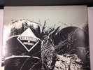 Corrosion Of Conformity 