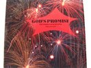 BLACK GOSPEL - SOUTHERN FAITH SINGERS God's Promise OMEGA RECORDS