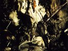 FIELDS OF THE NEPHILIM Elizium - LP - Vinyl - Neu / New
