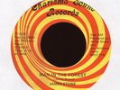 JAMES STONE Man in the Forest on Charisma Sound Hard Psych Fuzz 45 Hear