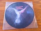 ??? ELP 1st Album     LP Vinyl PICTURE DISC ??? 2013 Razor & Tie