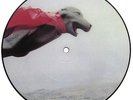 SKRATCHY SEAL Baby Super Seal 7