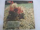 1970 J.B. Lenoir–J.B. Lenoir LP EX/EX promo Polydor ?– 24-4011